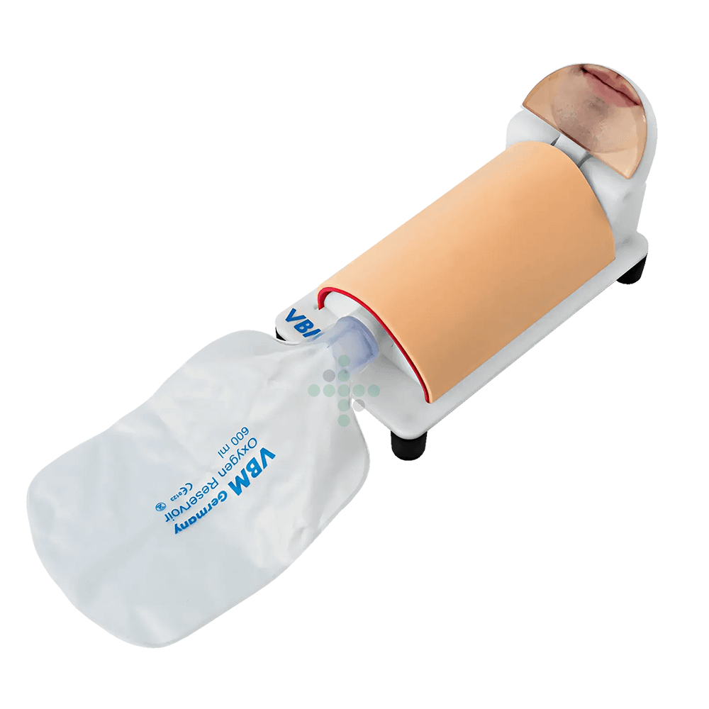 Adelaide Trenažér Adelaide na trénovanie krikotyrotóm - Obrázok 1