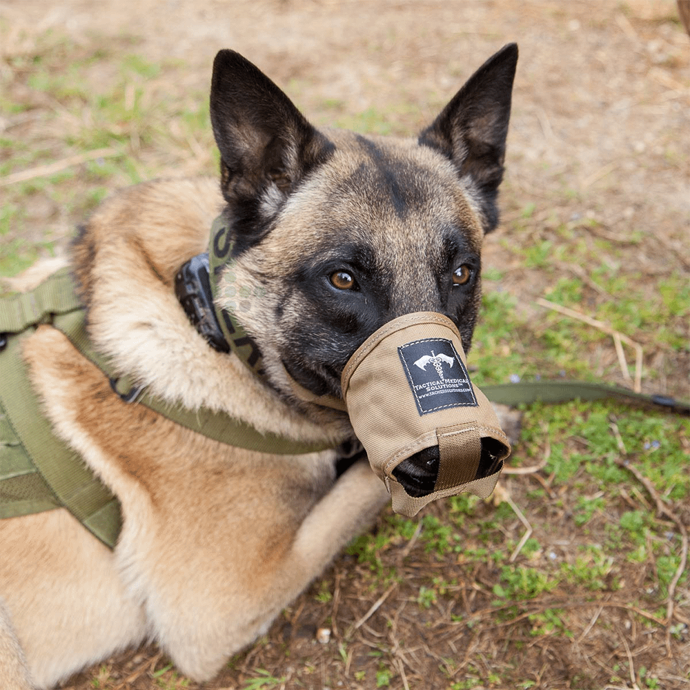 Kaganiec dla psaTacMed™ K-9 - Obraz 3