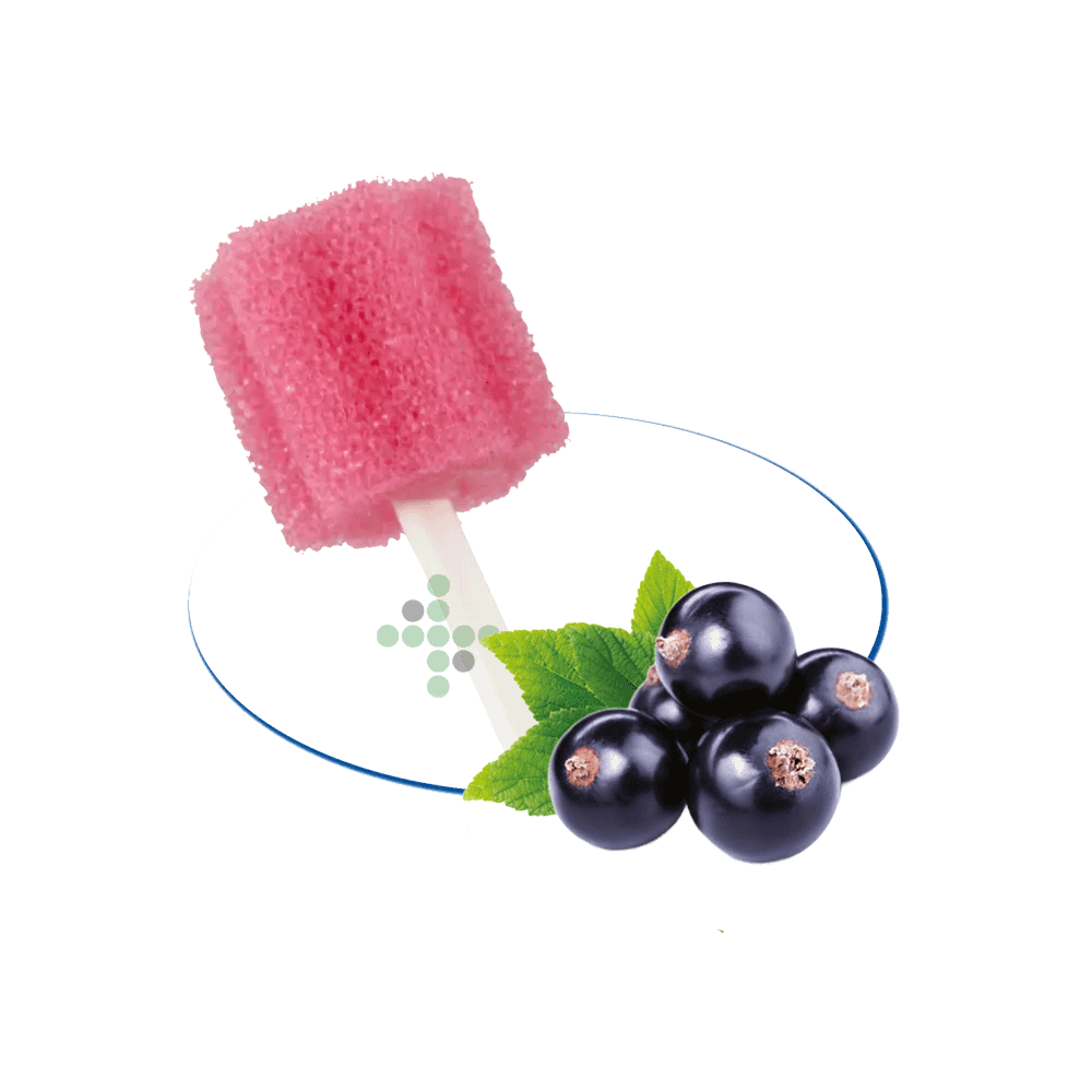 09156-2 Wymazówka do jamy ustnej, smak porzeczkowy, 250 szt. - Obraz 1