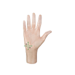 Rukavice vinylové, nepudrované 100 ks , více velikostí