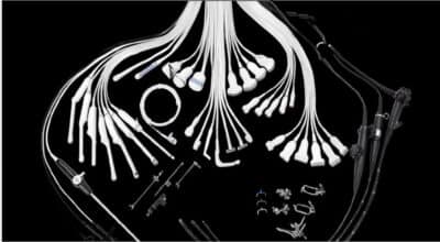 cac loai dau do copy