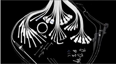 cac loai dau do copy