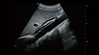 P50 Elite 06 600x334 1