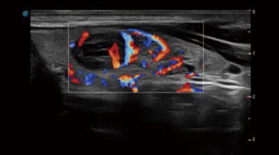 P50 Elite 07 600x334 1