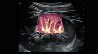 P50 Elite 09 600x334 1