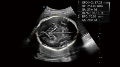 P50 Elite 16 600x334 1