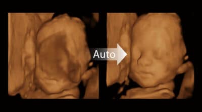 P50 Elite 19 600x334 1