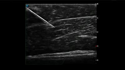 P50 Elite 13 600x334 1