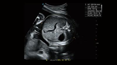 P50 Elite 17 600x334 1