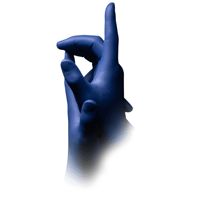 P 01166 3