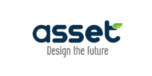 asset
