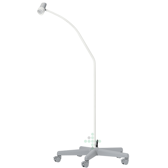 N30 1 F